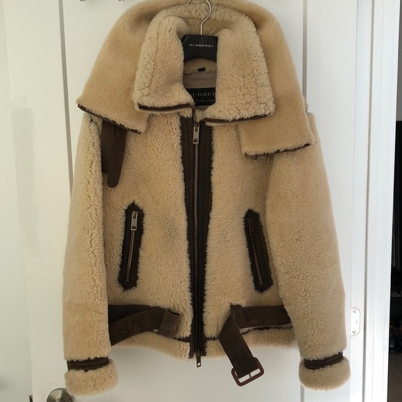 Burberry Runway AW18 Double Collar Shearling Aviator Jacket - Picture 2 of 16